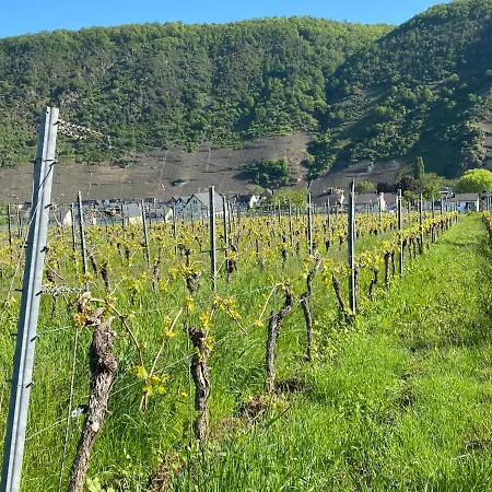 Ferienhaeuser * Ernst