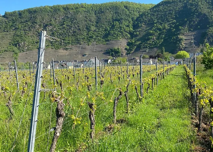 Ferienhaeuser * Ernst